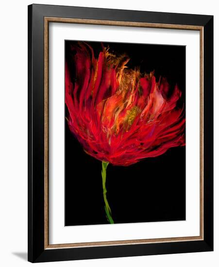 Red Tulips I-Vanessa Austin-Framed Art Print