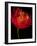 Red Tulips I-Vanessa Austin-Framed Art Print