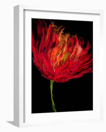 Red Tulips I-Vanessa Austin-Framed Art Print