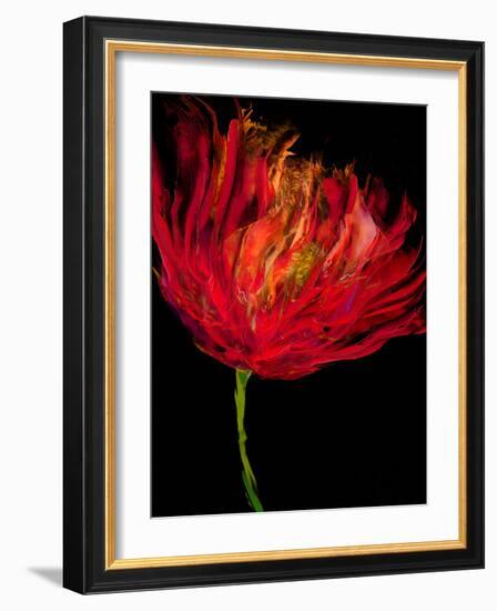 Red Tulips I-Vanessa Austin-Framed Art Print