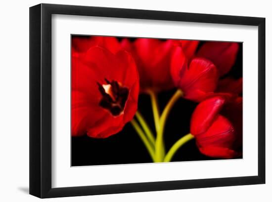 Red Tulips II-Christine Zalewski-Framed Art Print