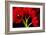 Red Tulips II-Christine Zalewski-Framed Art Print