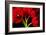 Red Tulips II-Christine Zalewski-Framed Art Print