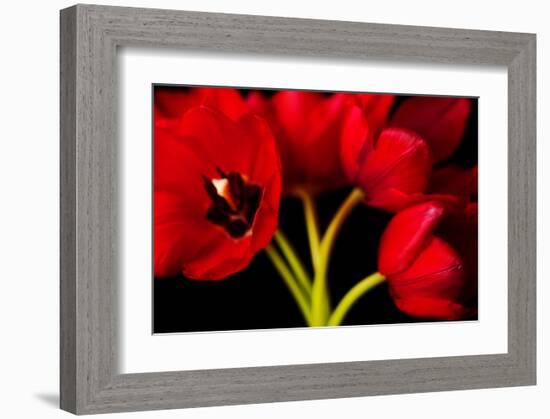 Red Tulips II-Christine Zalewski-Framed Art Print