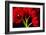 Red Tulips II-Christine Zalewski-Framed Art Print