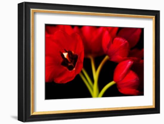 Red Tulips II-Christine Zalewski-Framed Art Print