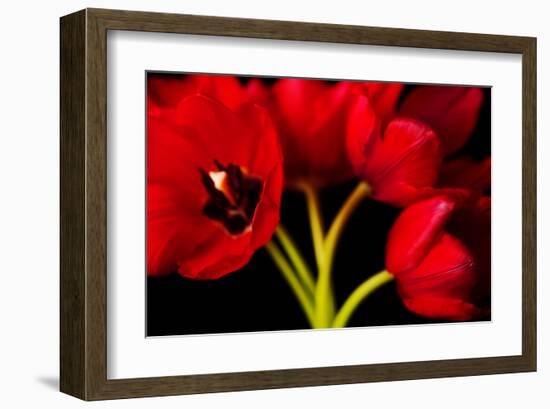 Red Tulips II-Christine Zalewski-Framed Art Print