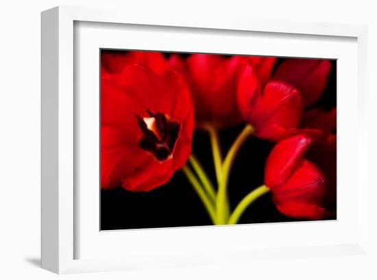 Red Tulips II-Christine Zalewski-Framed Art Print