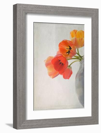 Red Tulips II-Judy Stalus-Framed Art Print