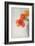 Red Tulips II-Judy Stalus-Framed Art Print