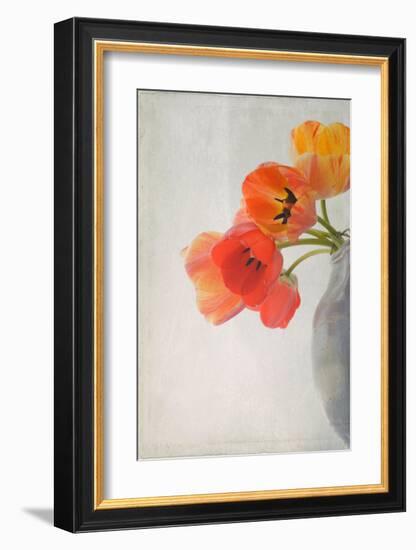 Red Tulips II-Judy Stalus-Framed Art Print