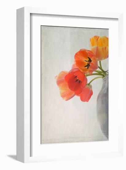 Red Tulips II-Judy Stalus-Framed Art Print