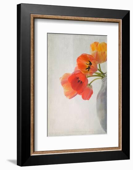 Red Tulips II-Judy Stalus-Framed Art Print