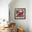 Red Tulips II-Emily Navas-Framed Photographic Print displayed on a wall