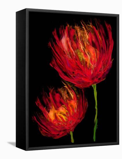 Red Tulips II-Vanessa Austin-Framed Stretched Canvas