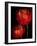 Red Tulips II-Vanessa Austin-Framed Art Print