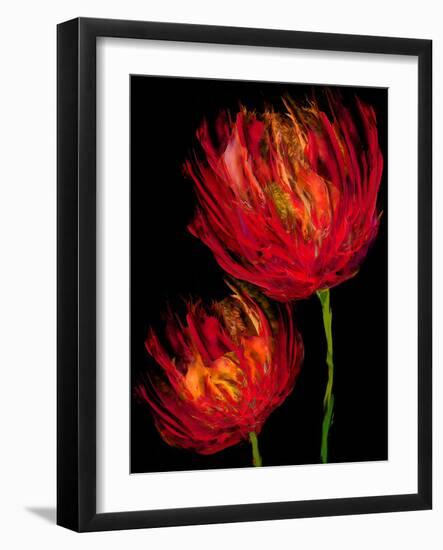 Red Tulips II-Vanessa Austin-Framed Art Print