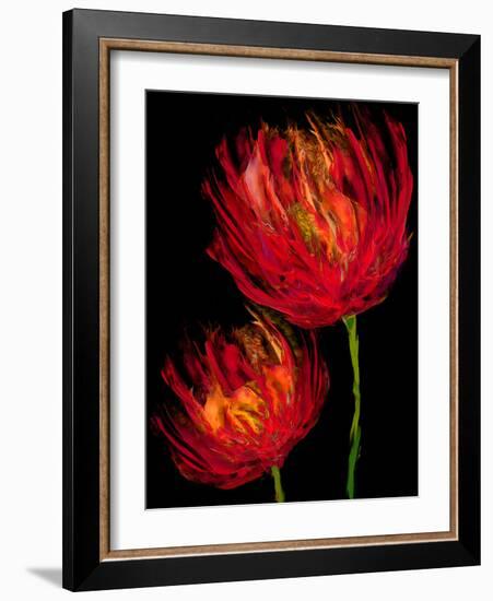 Red Tulips II-Vanessa Austin-Framed Art Print