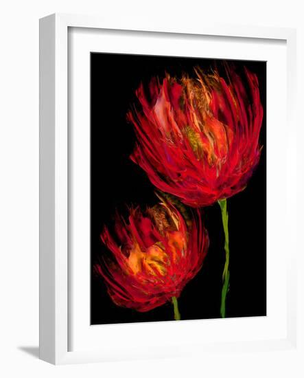 Red Tulips II-Vanessa Austin-Framed Art Print