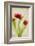 Red Tulips III-Judy Stalus-Framed Art Print