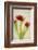 Red Tulips III-Judy Stalus-Framed Art Print