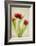 Red Tulips III-Judy Stalus-Framed Art Print