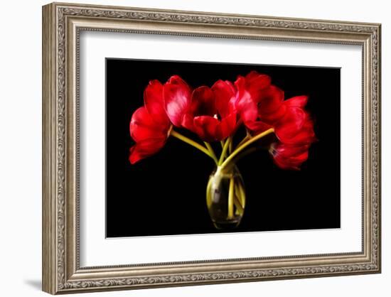 Red Tulips in a Glass Vase-Christine Zalewski-Framed Art Print