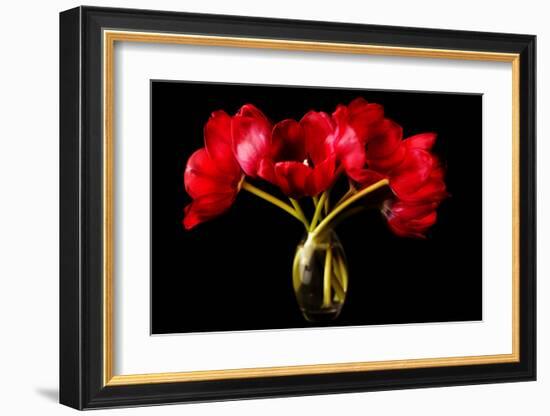 Red Tulips in a Glass Vase-Christine Zalewski-Framed Art Print