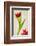 Red Tulips IV-Judy Stalus-Framed Art Print