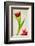 Red Tulips IV-Judy Stalus-Framed Art Print