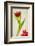 Red Tulips IV-Judy Stalus-Framed Art Print