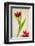 Red Tulips IV-Judy Stalus-Framed Art Print