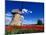 Red Tulips Surround a Traditional Windmill in Gauja National Park, Latvia-Janis Miglavs-Mounted Photographic Print