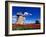 Red Tulips Surround a Traditional Windmill in Gauja National Park, Latvia-Janis Miglavs-Framed Photographic Print