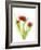 Red Tulips VI-Judy Stalus-Framed Art Print