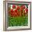 Red Tulips with Raindrops-George Lepp-Framed Photographic Print