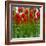 Red Tulips with Raindrops-George Lepp-Framed Photographic Print