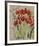 Red Tulips-Lilia Orlova Holmes-Framed Giclee Print