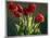 Red Tulips-Helen J. Vaughn-Mounted Giclee Print