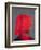 Red Turban on Grey, 2014-Lincoln Seligman-Framed Giclee Print