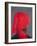 Red Turban on Grey, 2014-Lincoln Seligman-Framed Giclee Print