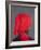 Red Turban on Grey, 2014-Lincoln Seligman-Framed Giclee Print