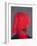 Red Turban on Grey, 2014-Lincoln Seligman-Framed Giclee Print