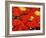 Red Umbrella-Sydney Edmunds-Framed Giclee Print