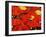 Red Umbrella-Sydney Edmunds-Framed Giclee Print