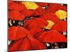 Red Umbrella-Sydney Edmunds-Mounted Giclee Print