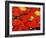 Red Umbrella-Sydney Edmunds-Framed Giclee Print