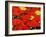 Red Umbrella-Sydney Edmunds-Framed Giclee Print