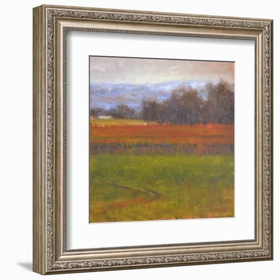 Red Vineyard Near The River I-Todd Telander-Framed Art Print