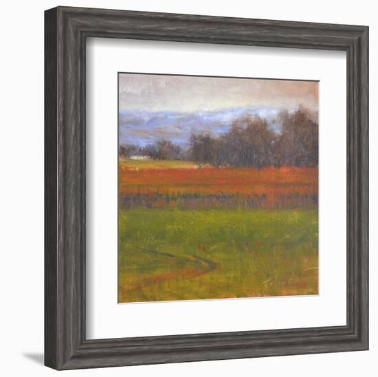 Red Vineyard Near The River I-Todd Telander-Framed Art Print